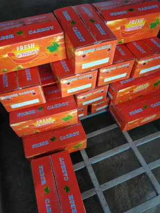 New Crop Fresh Carrot S Grade