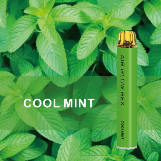 Oem lush ice 500-600puffs vapes desechables puff