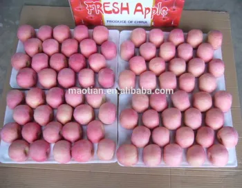 Early fuji apple of 2017 new season