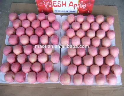 Early fuji apple of 2017 new season