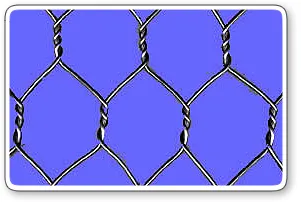 Hexagonal wire mesh