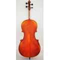 Popolare violoncello professionale fiammato