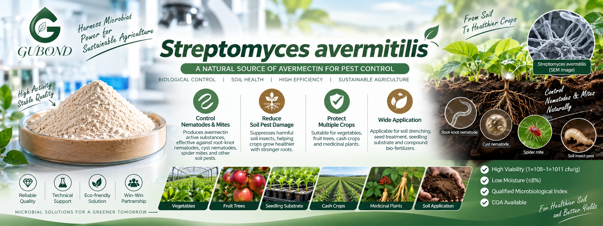 Streptomyces avermitilis (7)