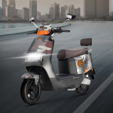 LVNENG FENGSHUOSHENGJIZHIZUNLICHENGBAN: Custom-Designed Electric Scooters and Motorcycles for Adults
