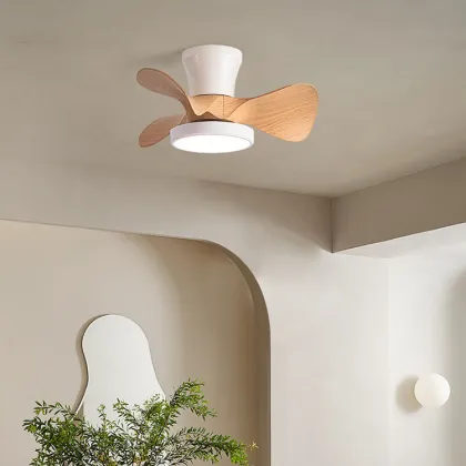 Customizable Modern Simple Children's Room and Restaurant Ceiling Fan Light