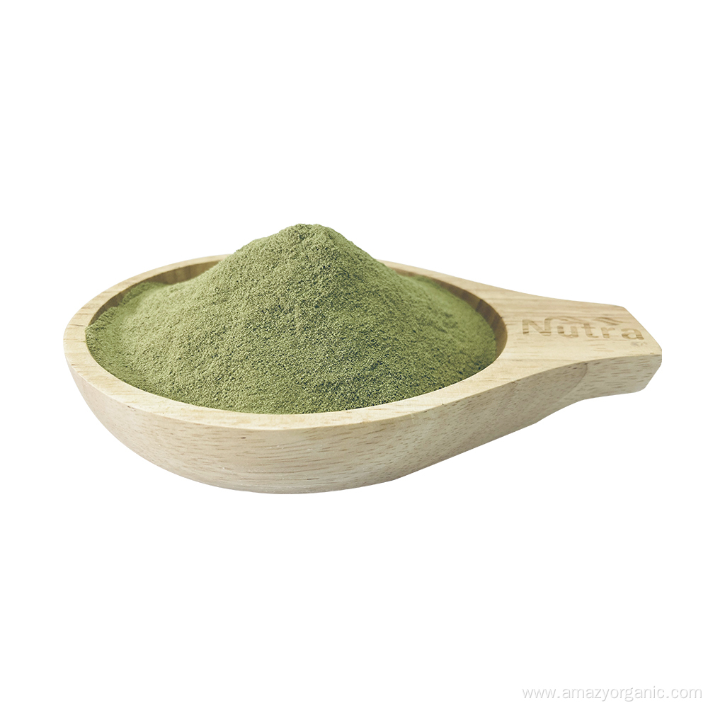 Pure Organic Spinach Powder for Food Supplement