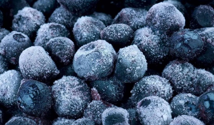 what is freeze dried fruit powder