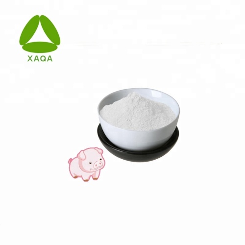 Polvo de colágeno de piel de cerdo CAS 9064-67-9