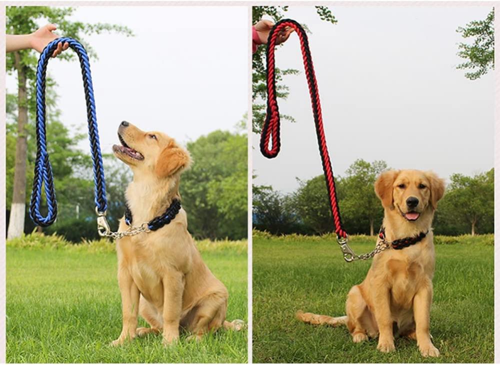 Dog Collar and Leash Set