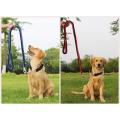 Kolar anjing dan leash set