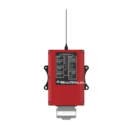 OHM Brand Double Wireless Radio Remote Control for Crane