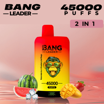 Wholesale Vapes Bulk in France Bang Leader 45000 Mod