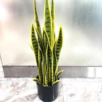 Best Selling Artificial Sansevieria for Home Decor