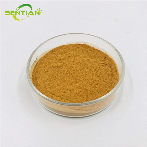 High-Quality Coriander Seed Extract
