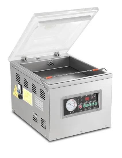 Wanhe DZ-300 Automatic Food Vacuum Sealer