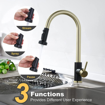 Black Stainless Kitchen Faucet and Gold Mixer Tap