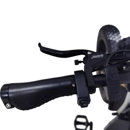 Top Quality Electric Bicycle