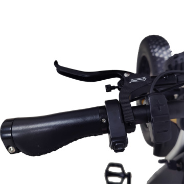 Top Quality Electric Bicycle