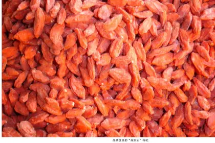 honeysuckle  dryer equipment