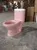 Colour Baby Toilet