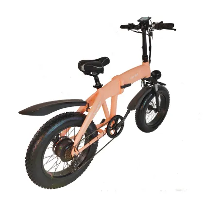 Dual motor snow electric bike