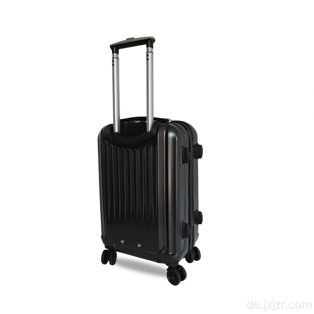 Carry On 4-Wheel Spinner