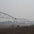 Low investment cost, translatable, elongated sprinkler irrigation machine Aqualine