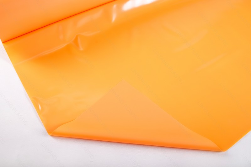 PVC Inflatable film (12)