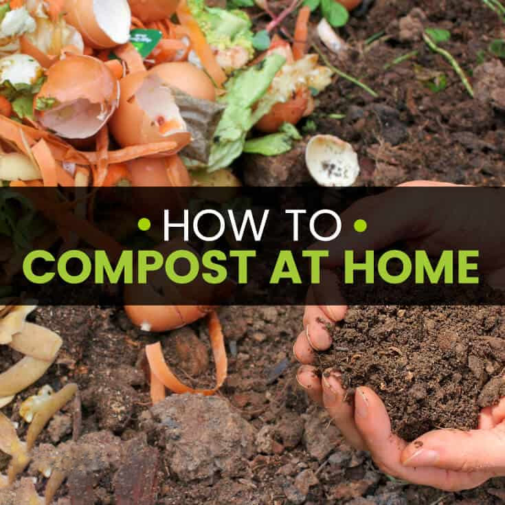 home-compost