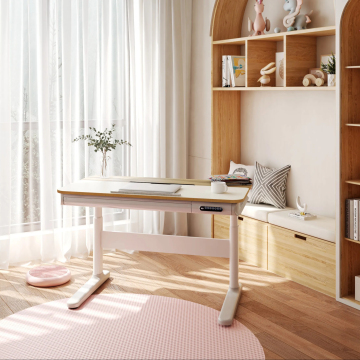 LOCTEK Ergonomic Adjustable Height Children's Study Desk CD802-ZX
