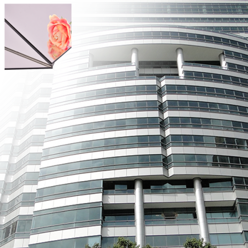 Panel compuesto de aluminio de instalación de Esay Ligero ESAY