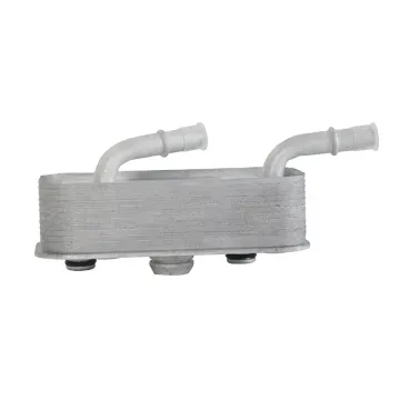 YouParts Engine Transmission Oil Cooler for BMW 3 (E46) Convertible/Coupe/Touring