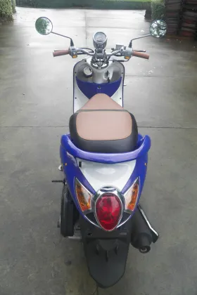 Gas Powered Motor Scooters Large Turtle 125