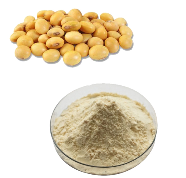 soybean extract1