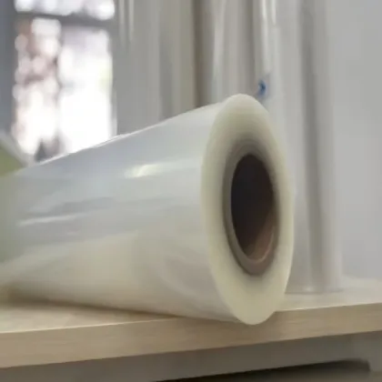 Co-Extruded PA/PE Film for Packaging