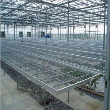 디자인 agriculturial 유리 철강 구조 온실