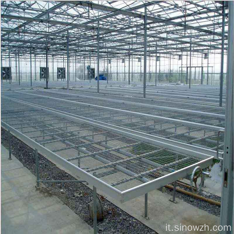 Progettazione serra in acciaio con struttura in vetro agricolo