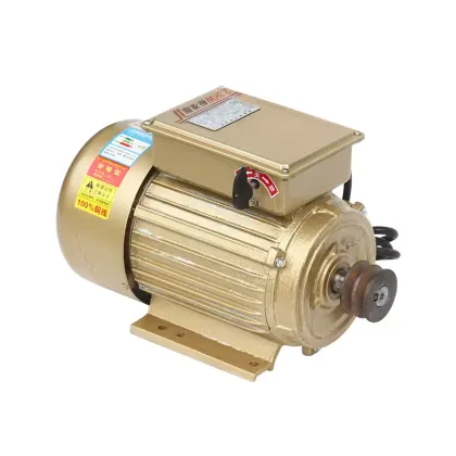 220V AC Single-Phase Motor for Agricultural Machinery