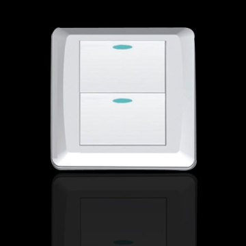 PF118 Big Two Gang Switch