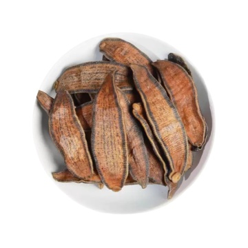 Natural Leech Therapy to Improve Blood Circulation