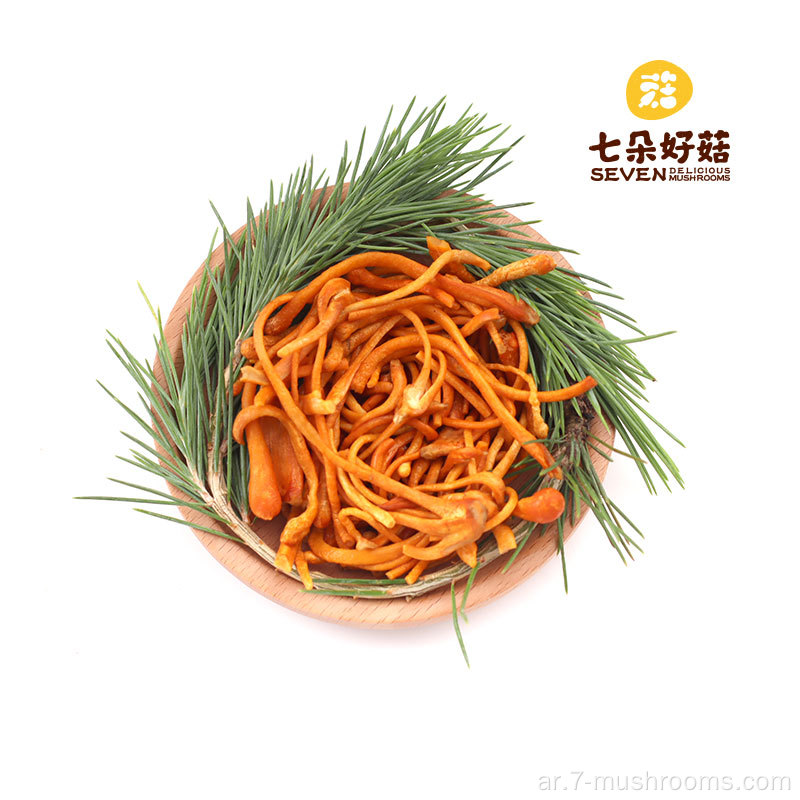 ISO22000 Healthy Frozen Cordyceps Flower-300G