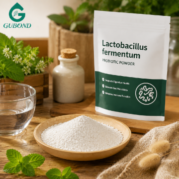 Lactobacillus Fermentum للمكملات الغذائية