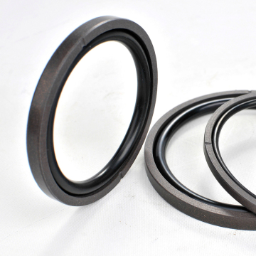 SPGO PTFE BRONZE compact Piston Glyd Ring: Moteur de recherche