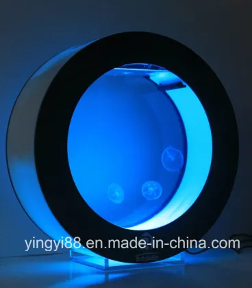 Custom Acrylic Fish Tank with LED Lighting