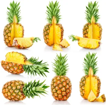 Pineapple juice production line with ISO9001