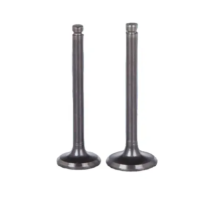 Popular Intake Exhaust Valves 32*7*96 36*7*97 - Auto Parts Valve Tappets for Volkswagen