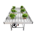 Skyplant Ebb Flow Rolling Bench in Greenhouse