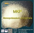 Cina pabrik pasokan langsung Monopotassium fosfat MKP 98% kelas industri