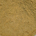 Flavor Gingerol Ginger Powder