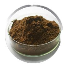 Coleus Forskohlii P.E. powder/Herbal extract Forskolin